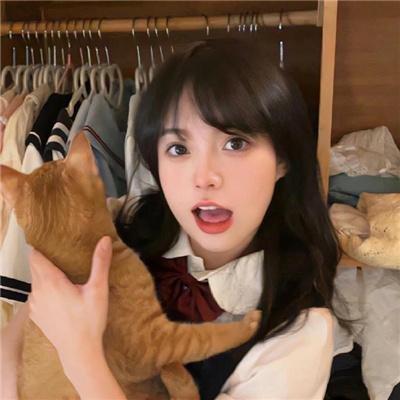 完美求婚